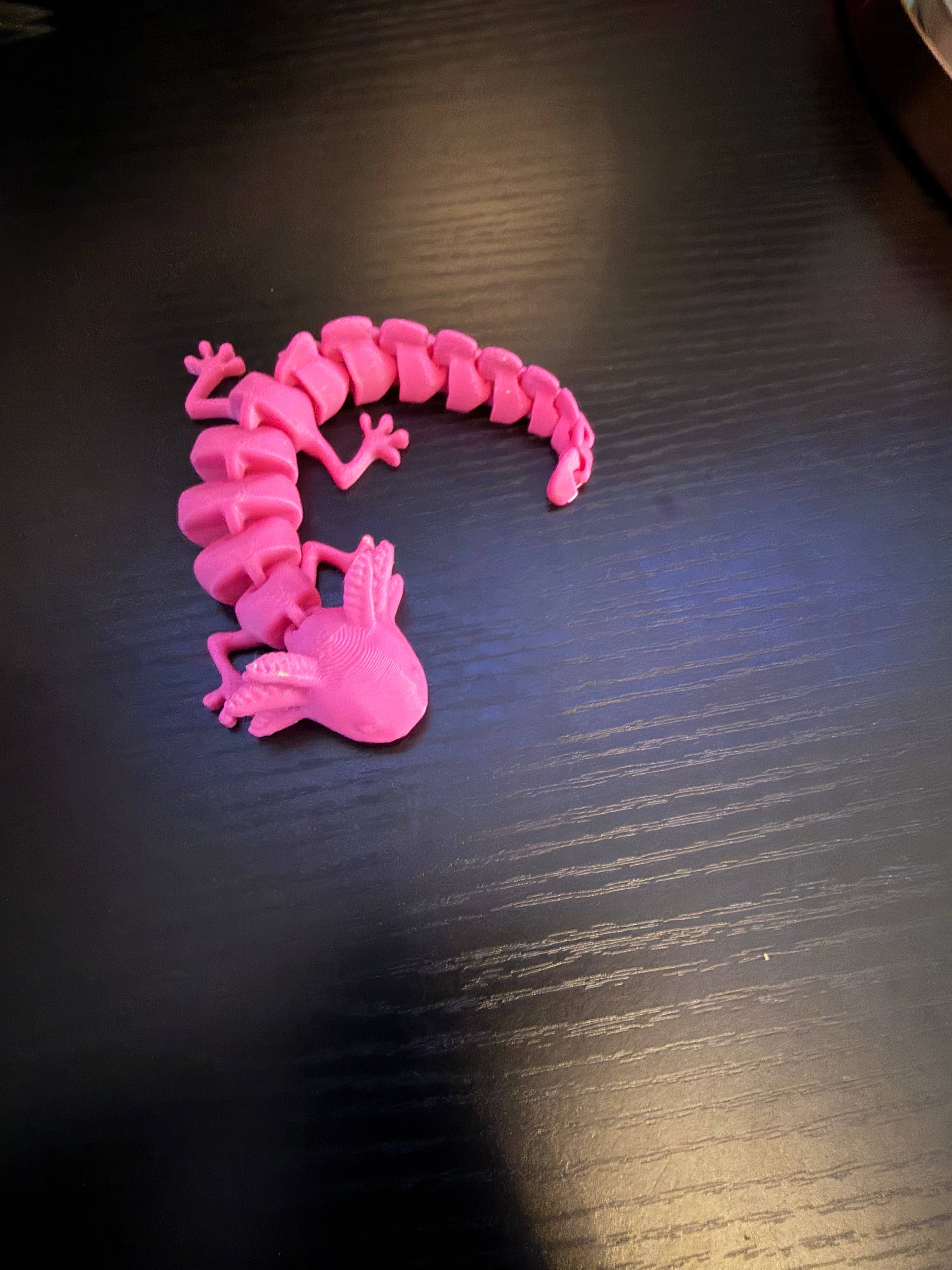 Axolotl fidget toys